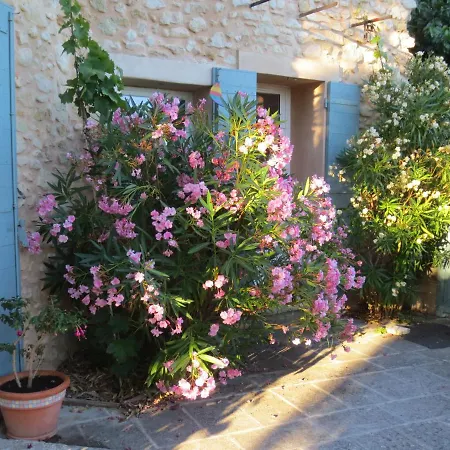 Oustau Du Ventoux * Bedoin