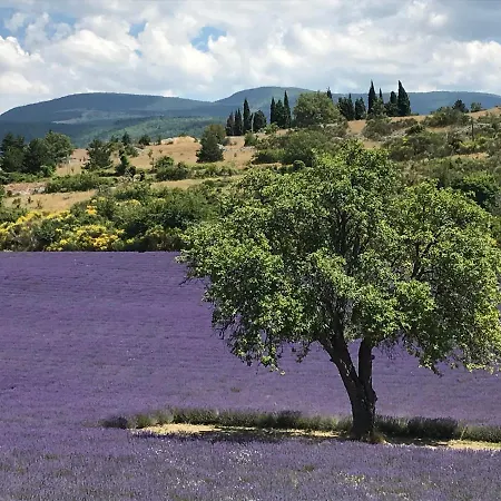 Oustau Du Ventoux Bedoin
